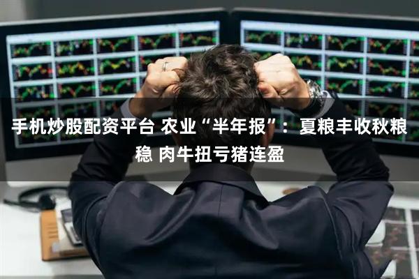 手机炒股配资平台 农业“半年报”：夏粮丰收秋粮稳 肉牛扭亏猪连盈